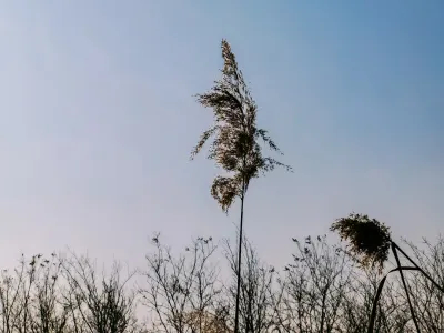 Bit4win Kasyno Aplikacja mobilna